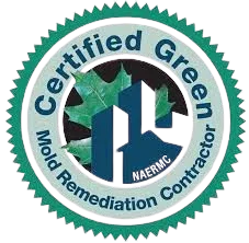 Green Remediation